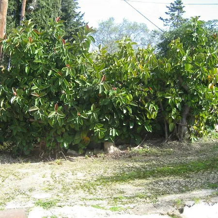 Maria Corfu Mesongi