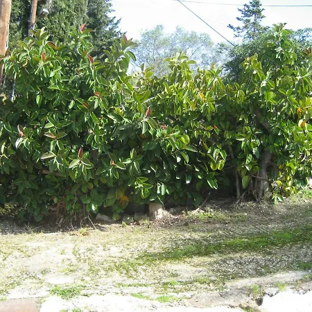 Maria Corfu Mesongí